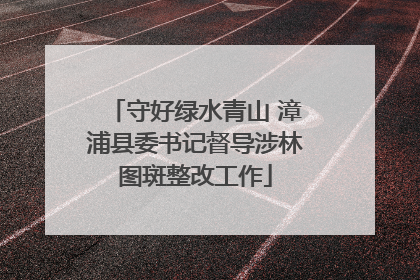 守好绿水青山 漳浦县委书记督导涉林图斑整改工作