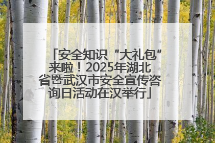 安全知识“大礼包”来啦！2025年湖北省暨武汉市安全宣传咨询日活动在汉举行