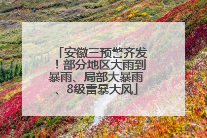 安徽三预警齐发！部分地区大雨到暴雨、局部大暴雨、8级雷暴大风