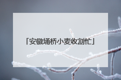 安徽埇桥小麦收割忙
