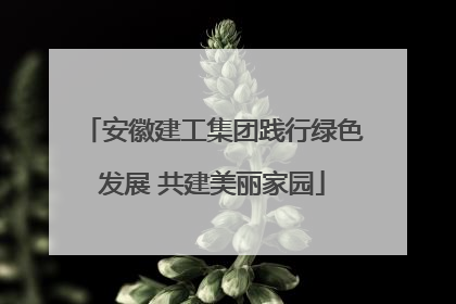安徽建工集团践行绿色发展 共建美丽家园