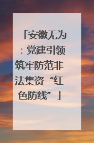 安徽无为：党建引领筑牢防范非法集资“红色防线”