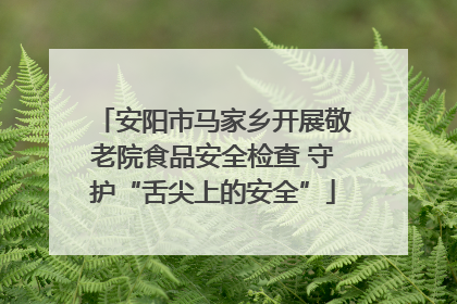 安阳市马家乡开展敬老院食品安全检查 守护“舌尖上的安全”