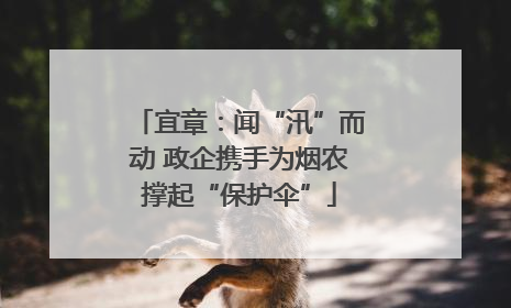 宜章：闻“汛”而动 政企携手为烟农撑起“保护伞”