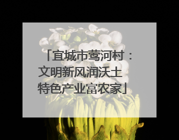 宜城市莺河村：文明新风润沃土 特色产业富农家