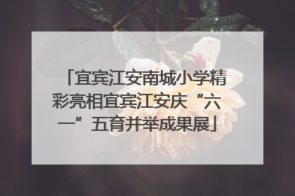 宜宾江安南城小学精彩亮相宜宾江安庆“六一”五育并举成果展