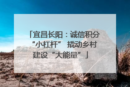 宜昌长阳：诚信积分“小杠杆” 撬动乡村建设“大能量”