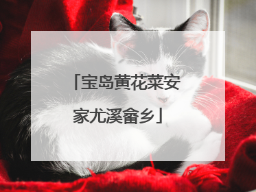宝岛黄花菜安家尤溪畲乡