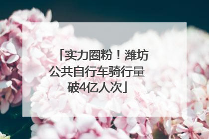 实力圈粉！潍坊公共自行车骑行量破4亿人次