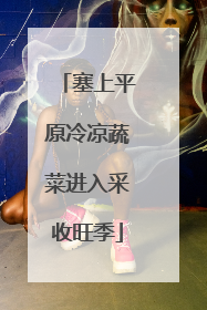 塞上平原冷凉蔬菜进入采收旺季
