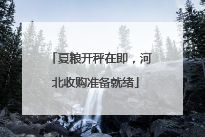 夏粮开秤在即，河北收购准备就绪