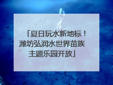 夏日玩水新地标！潍坊弘润水世界苗族主题乐园开放