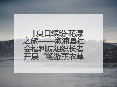 夏日缤纷·花漾之旅——溆浦县社会福利院组织长者开展“畅游薰衣草庄园 共享紫色浪漫”户外活动