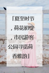 夏至时节，荷花初绽，市民游客公园寻觅荷香雅韵