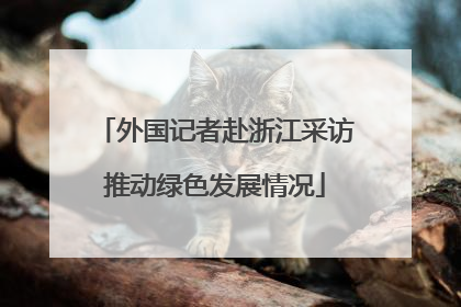外国记者赴浙江采访推动绿色发展情况