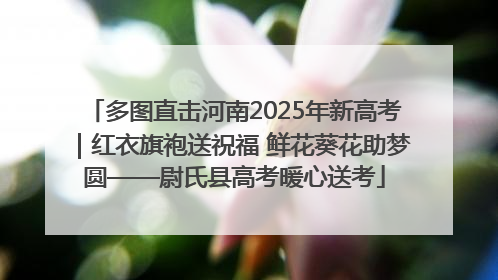 多图直击河南2025年新高考｜红衣旗袍送祝福 鲜花葵花助梦圆——尉氏县高考暖心送考
