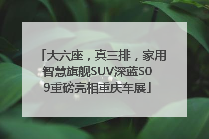 大六座，真三排，家用智慧旗舰SUV深蓝S09重磅亮相重庆车展
