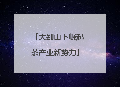大别山下崛起茶产业新势力