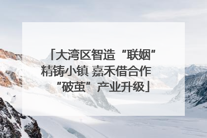 大湾区智造“联姻”精铸小镇 嘉禾借合作“破茧”产业升级