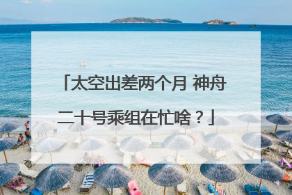 太空出差两个月 神舟二十号乘组在忙啥？