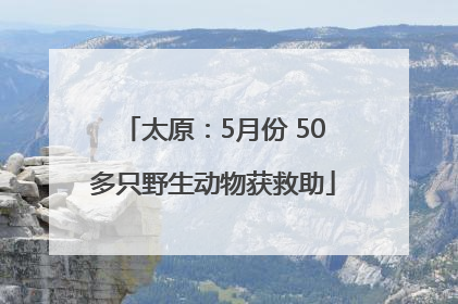 太原：5月份 50多只野生动物获救助