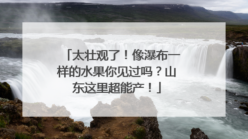 太壮观了！像瀑布一样的水果你见过吗？山东这里超能产！