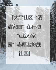 太平社区“清洁家园”在行动 “i武汉i家园”志愿者扮靓社区