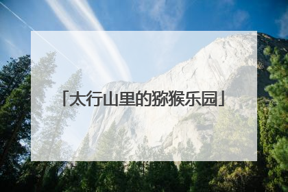 太行山里的猕猴乐园