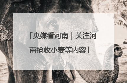 央媒看河南｜关注河南抢收小麦等内容