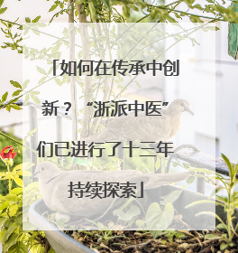 如何在传承中创新？“浙派中医”们已进行了十三年持续探索