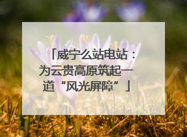 威宁么站电站：为云贵高原筑起一道“风光屏障”