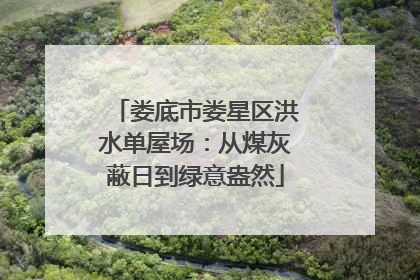 娄底市娄星区洪水单屋场：从煤灰蔽日到绿意盎然