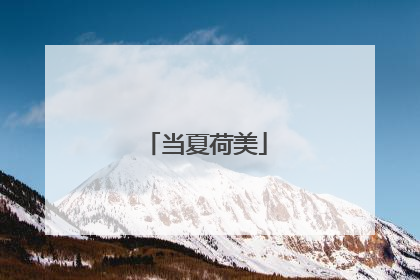 当夏荷美