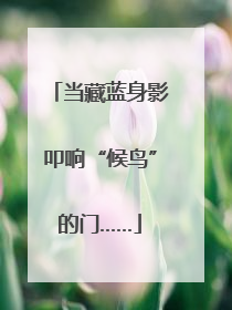 当藏蓝身影叩响“候鸟”的门……