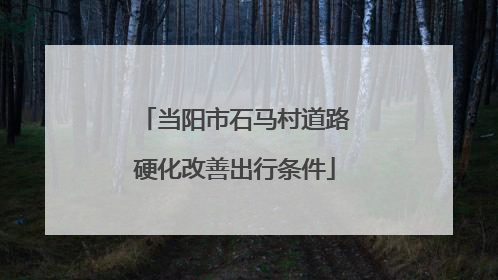 当阳市石马村道路硬化改善出行条件