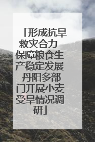 形成抗旱救灾合力 保障粮食生产稳定发展 丹阳多部门开展小麦受旱情况调研