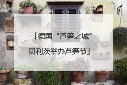 德国“芦笋之城”贝利茨举办芦笋节