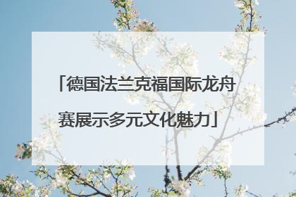德国法兰克福国际龙舟赛展示多元文化魅力
