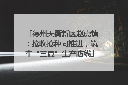 德州天衢新区赵虎镇：抢收抢种同推进，筑牢“三夏”生产防线