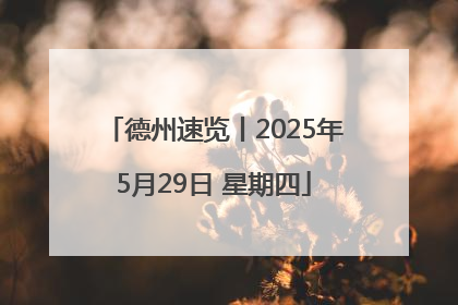 德州速览丨2025年5月29日 星期四