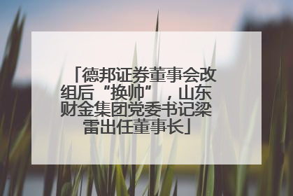 德邦证券董事会改组后“换帅”，山东财金集团党委书记梁雷出任董事长