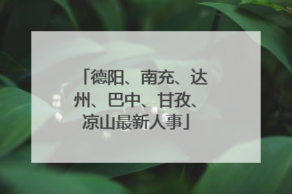 德阳、南充、达州、巴中、甘孜、凉山最新人事