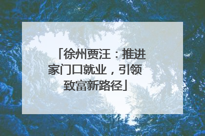徐州贾汪：推进家门口就业，引领致富新路径