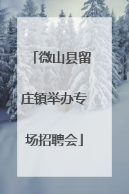 微山县留庄镇举办专场招聘会