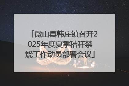 微山县韩庄镇召开2025年度夏季秸秆禁烧工作动员部署会议
