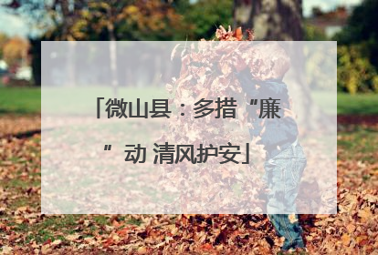 微山县：多措“廉”动 清风护安