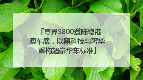 尊界S800登陆粤港澳车展，以黑科技与奢华重构超豪华车标准