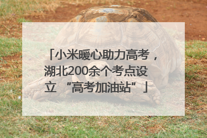 小米暖心助力高考，湖北200余个考点设立 “高考加油站”