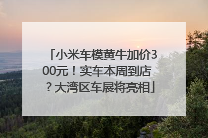 小米车模黄牛加价300元！实车本周到店？大湾区车展将亮相