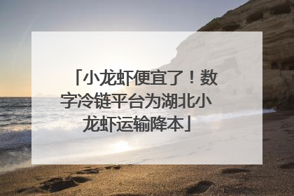 小龙虾便宜了！数字冷链平台为湖北小龙虾运输降本